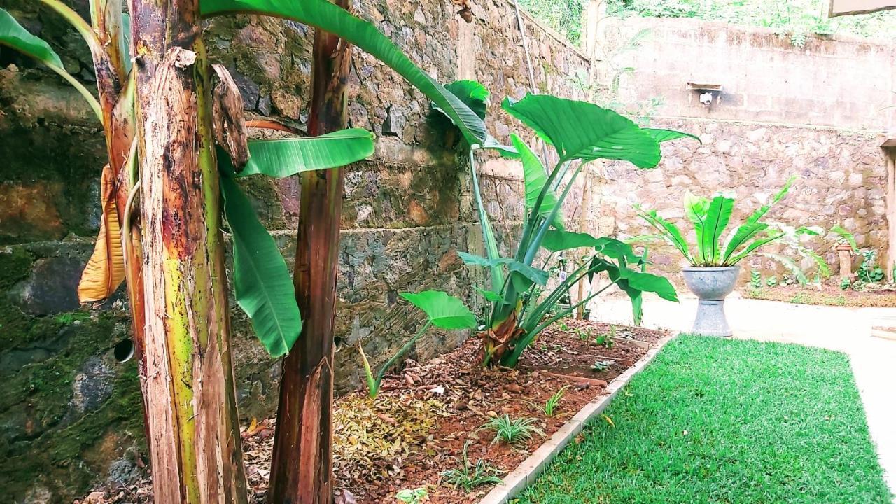 Villa Senan - 2 Apartments - Mirissa Bagian luar foto